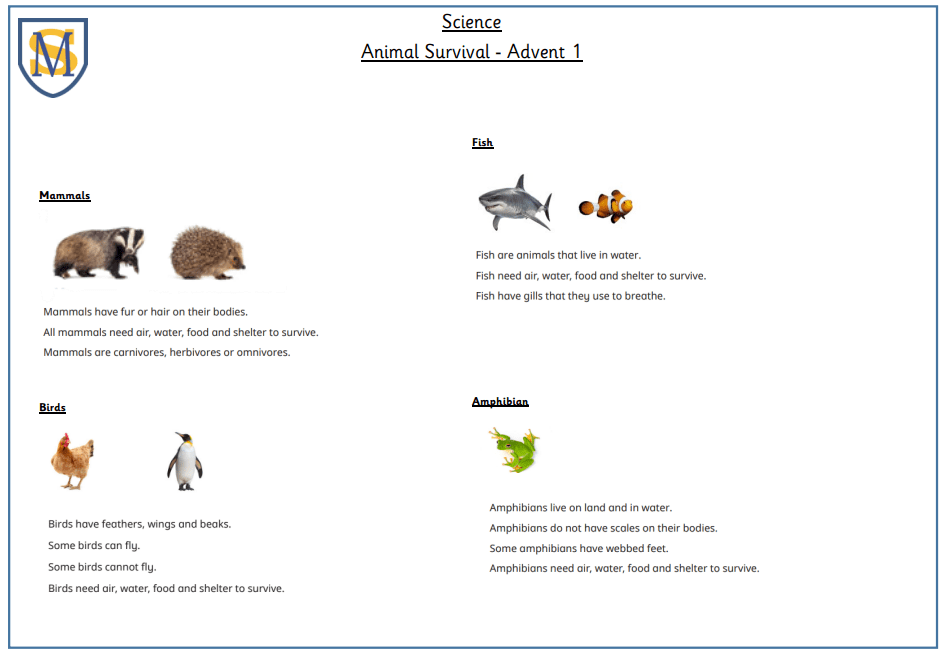Advent Science 1 2 Advent Science 1 2