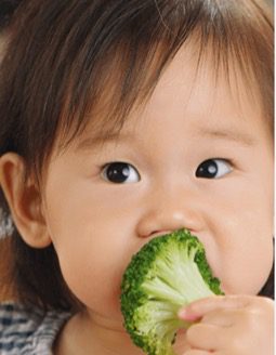 Broccoli Picture